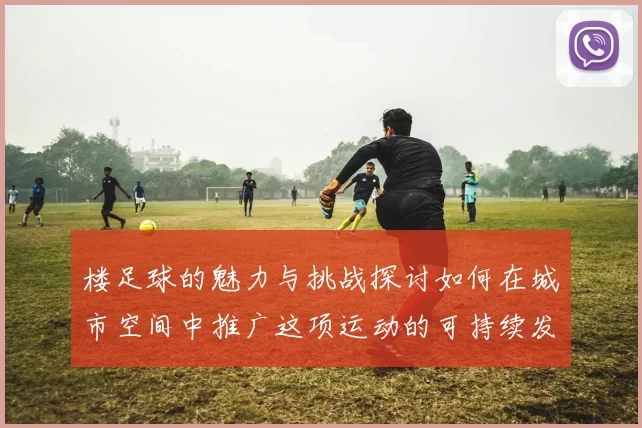 楼足球的魅力与挑战探讨如何在城市空间中推广这项运动的可持续发展