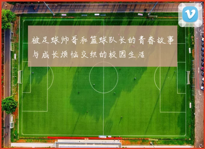 被足球帅哥和篮球队长的青春故事与成长烦恼交织的校园生活