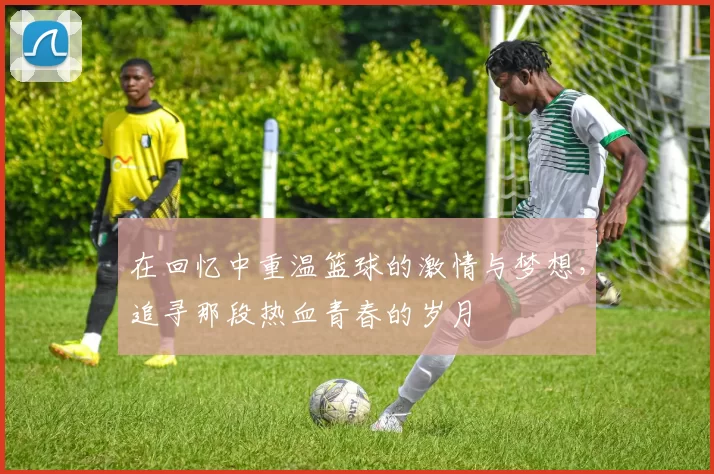 在回忆中重温篮球的激情与梦想，追寻那段热血青春的岁月