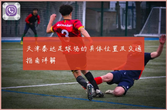天津泰达足球场的具体位置及交通指南详解