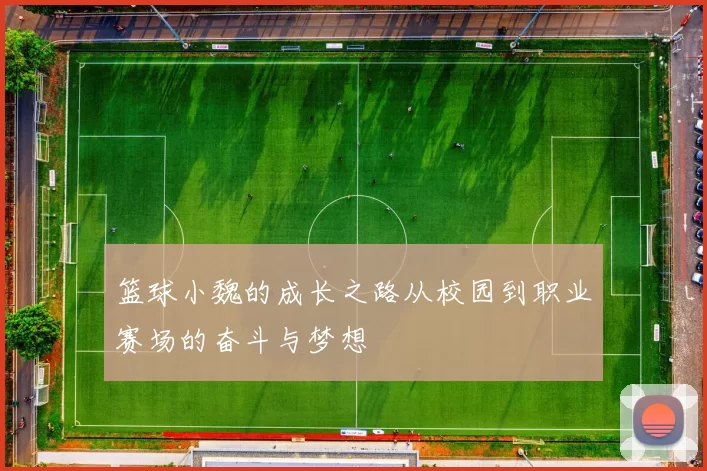 篮球小魏的成长之路从校园到职业赛场的奋斗与梦想