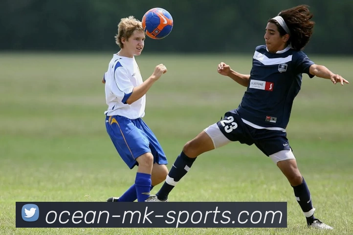 MK体育中国APP 封面图